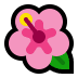 :hibiscus: :hibiscus: